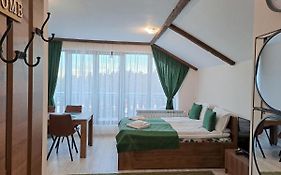 Large Studio With View In Borovets Gardens